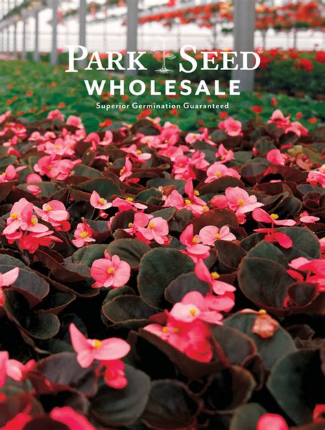 Parks seeds - Park Seed. For over 150 years, Park Seed has stood with gardeners. Park Seed’s selection of non-GMO flower and vegetable seeds, indoor growing solutions, and garden tools makes Park Seed the first and only stop for gardeners. Germination guaranteed. Van Dyke's Restorers.